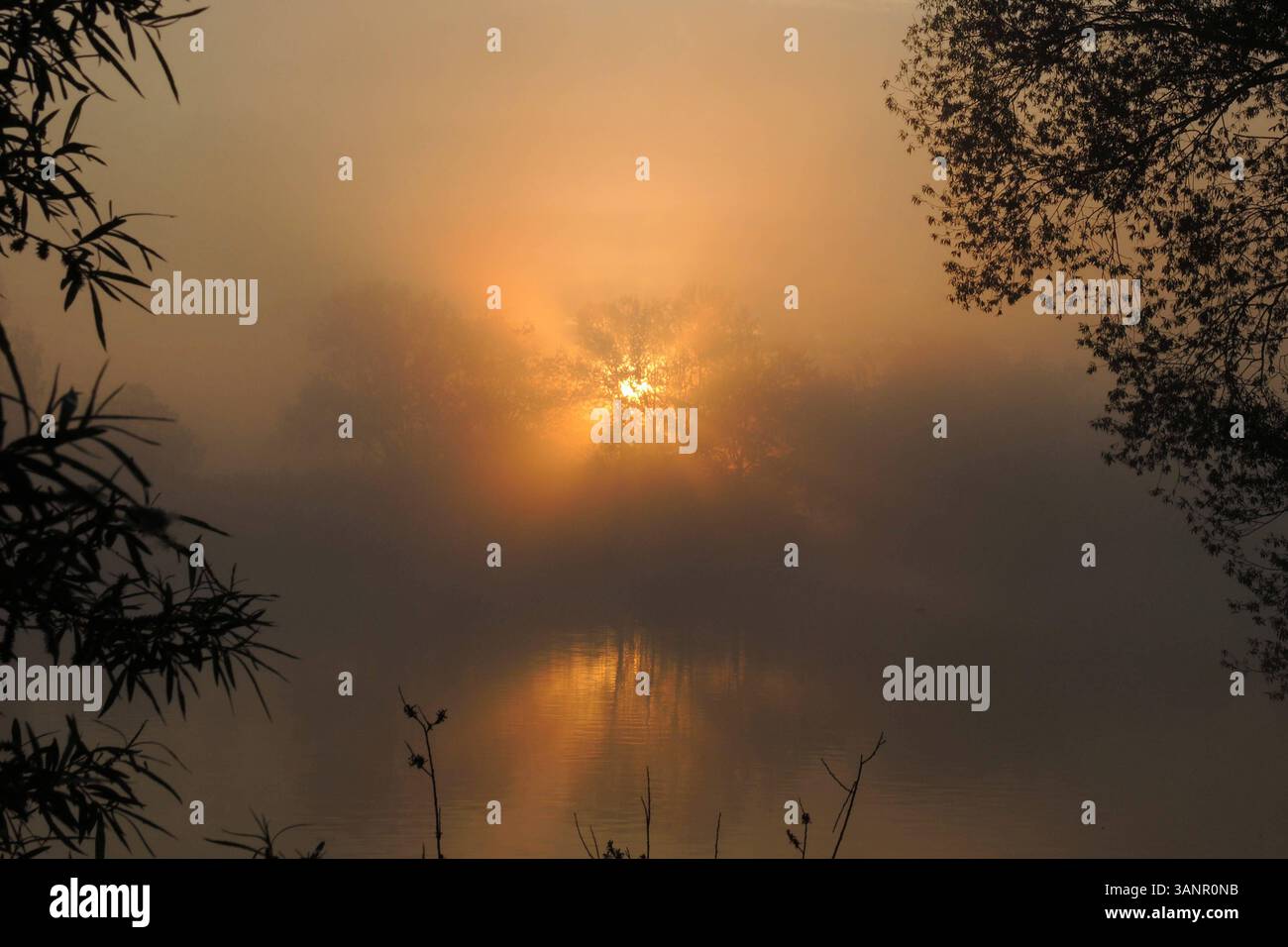 Sonnenaufgang am See Sonnenaufgang Muhr am See Fränkische Seenplatte, Sonnenaufgang *** Sonnenaufgang am See Sonnenaufgang Muhr am See Fränkischer Distri-See Stockfoto