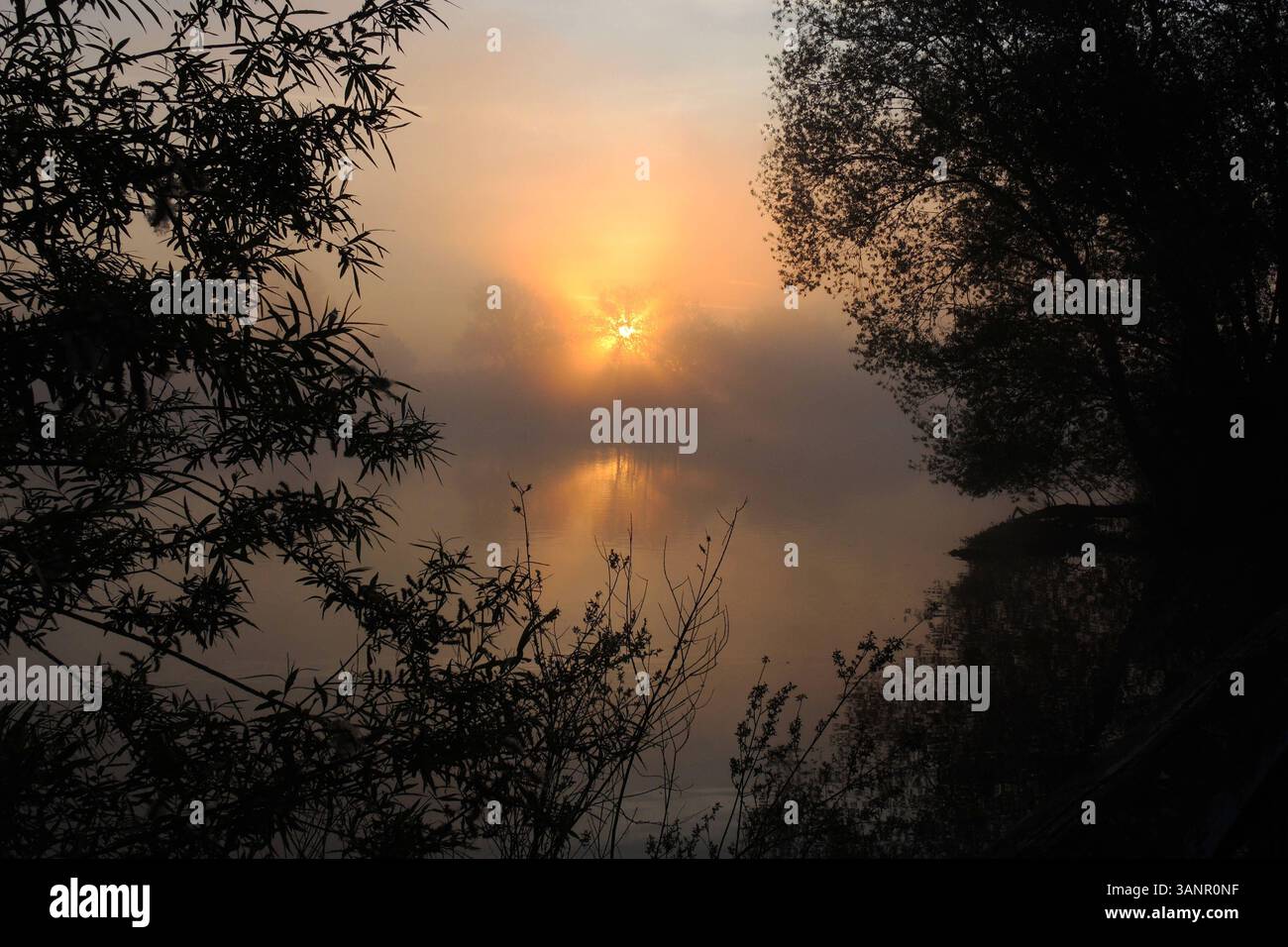 Sonnenaufgang am See Sonnenaufgang Muhr am See Fränkische Seenplatte, Sonnenaufgang *** Sonnenaufgang am See Sonnenaufgang Muhr am See Fränkischer Distri-See Stockfoto