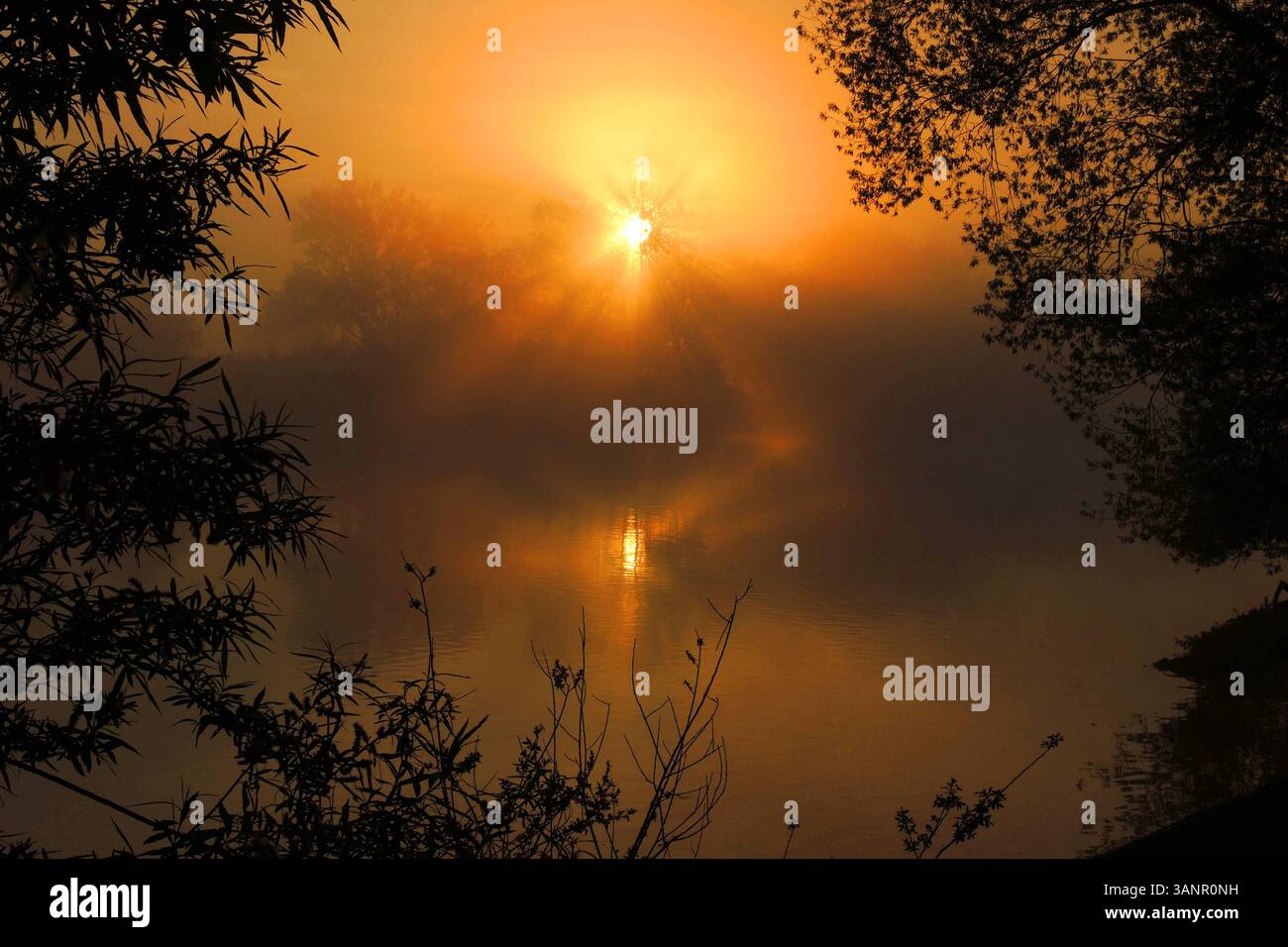 Sonnenaufgang am See Sonnenaufgang Muhr am See Fränkische Seenplatte, Sonnenaufgang *** Sonnenaufgang am See Sonnenaufgang Muhr am See Fränkischer Distri-See Stockfoto