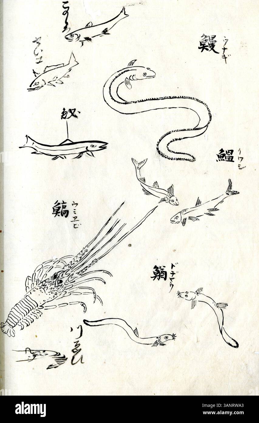 Ein Künstlerskizzenbuch mit kleinen Tuschenskizzen von Figuren, Tieren, Vögeln, Blumen und Landschaften. Das Buch wird einem unbekannten Künstler zugeschrieben und ist Teil der Sammlung des Vanderbilt Museum of Art. Stockfoto