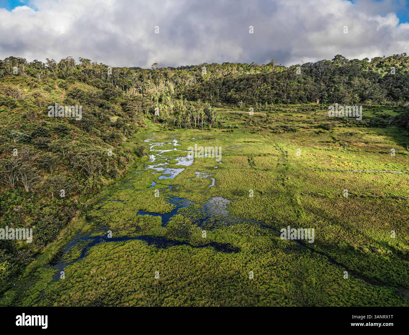 Aus der Vogelperspektive auf üppige Primärwälder und Feuchtgebiete im Sakaleona Nationalpark, Ambositra, Madagaskar. Stockfoto