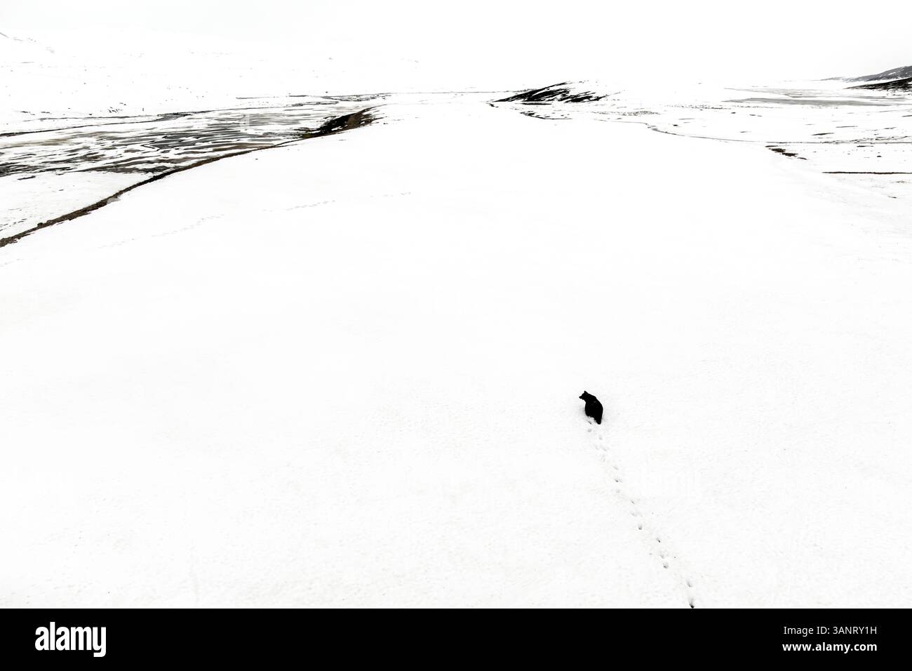 Luftaufnahme des schneebedeckten Deosai-Nationalparks, Bear Isabelle, Gilgit-Baltistan, Pakistan. Stockfoto