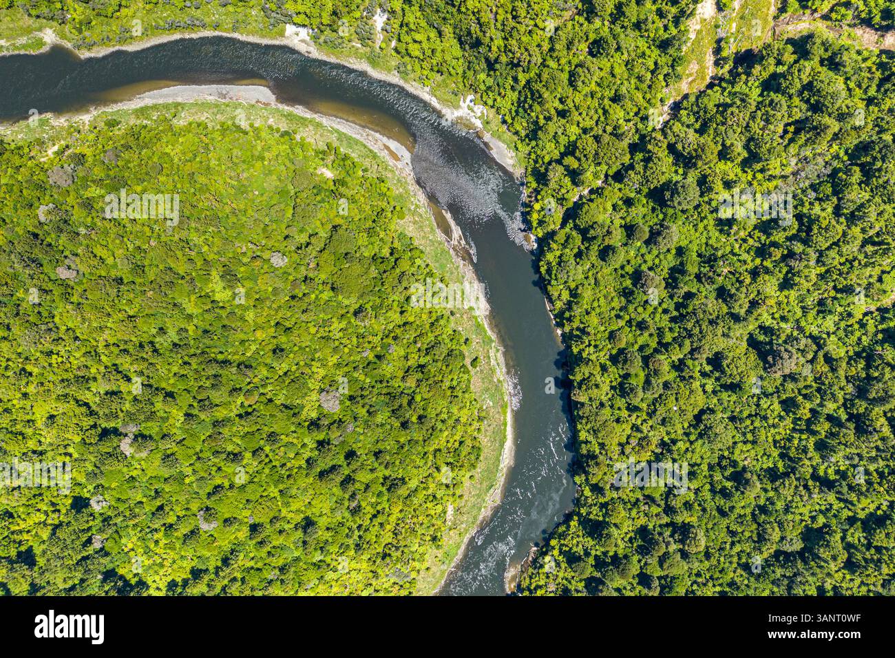 Blick aus der Vogelperspektive auf den Whanganui Fluss, umgeben von wunderschönen Wäldern und Bäumen, Kohuratahi, Stratford, Manawatu-Wanganui, Neuseeland. Stockfoto