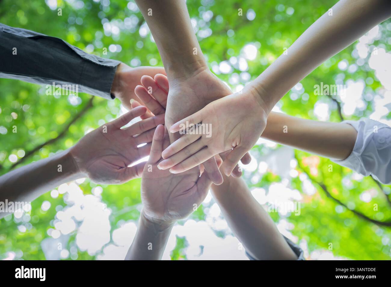 Wurmperspektive auf Menschen, die ihre Hände zusammenlegen. Handstapel. Konzept für Einheit und Teamarbeit. Das Team legt die Hände im Kreis zusammen. Stockfoto