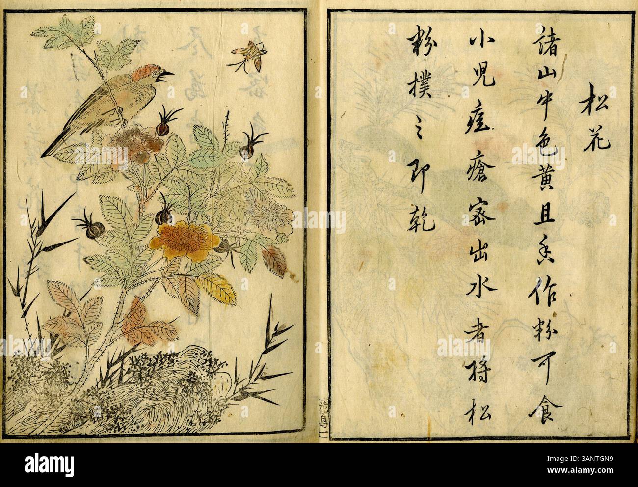 Die Sammlung Hasshu Gafu mit den Bänden 5, 7 und 8 ist ein exquisites Set von Bilderalben der Ming-Dynastie, die die künstlerischen Fähigkeiten der Epoche zeigen. Dieses Künstlerbuch, das Teil der Sammlung der Vanderbilt Fine Arts Gallery ist, spiegelt die chinesische Kultur des 16. Jahrhunderts wider. Stockfoto