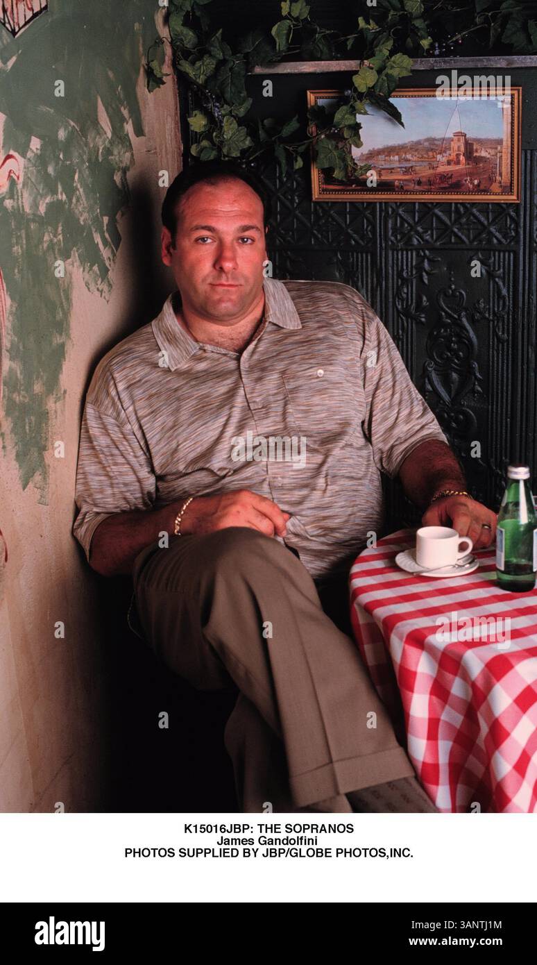 1. JANUAR 2011 - K15016JBP: DIE SOPRANOS. James Gandolfini . BEREITGESTELLT VON JBP/(Kreditbild: © Globe Photos/ZUMAPRESS.com) Stockfoto