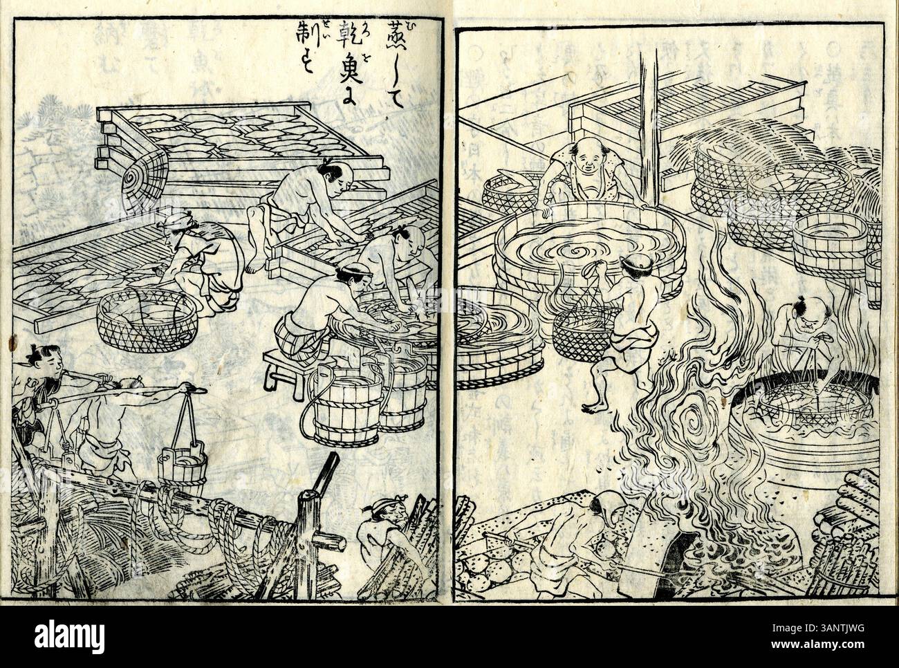 Sankai Meisan Zue, ein Künstlerbuch von Shitomi Kangetsu aus dem Jahr 1799, veranschaulicht die bekannten Produkte von Japans Land und Meer. Das Buch ist ein wesentliches Stück, das Japans wirtschaftliche und kulturelle Landschaft des späten 18. Jahrhunderts widerspiegelt und in der Vanderbilt Fine Arts Gallery untergebracht ist. Stockfoto