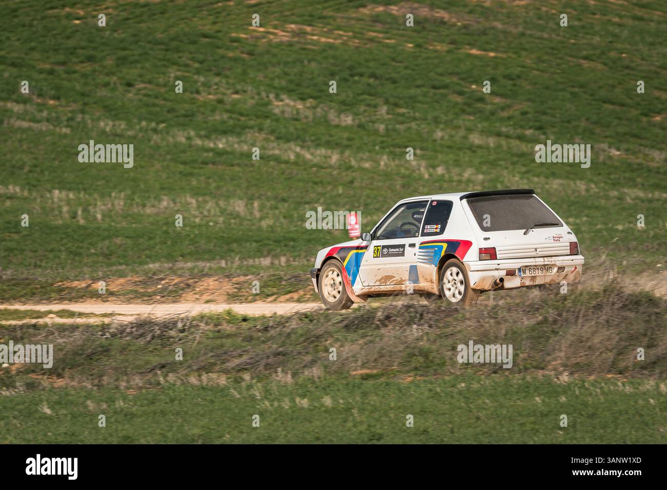 Madrid, Spanien; 15.02.2025: Der legendäre Peugeot 205 GTI fährt während einer Rallye-Feier auf einem Feldweg, von hinten betrachtet, als er in eine staubige Hor zurückgeht Stockfoto