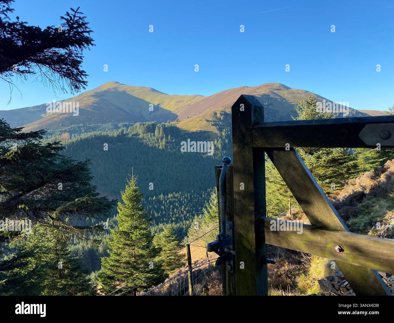 Ich schaue nach Grisedale Pike - Smartphone-aufgenommenes Stockfoto