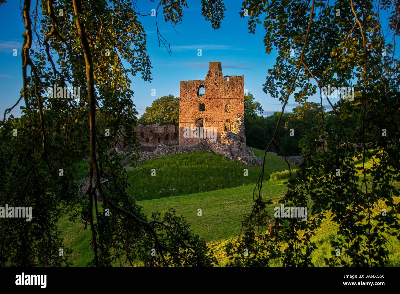 Der Donjon von Norham Castle aus dem äußeren Bailey Stockfoto