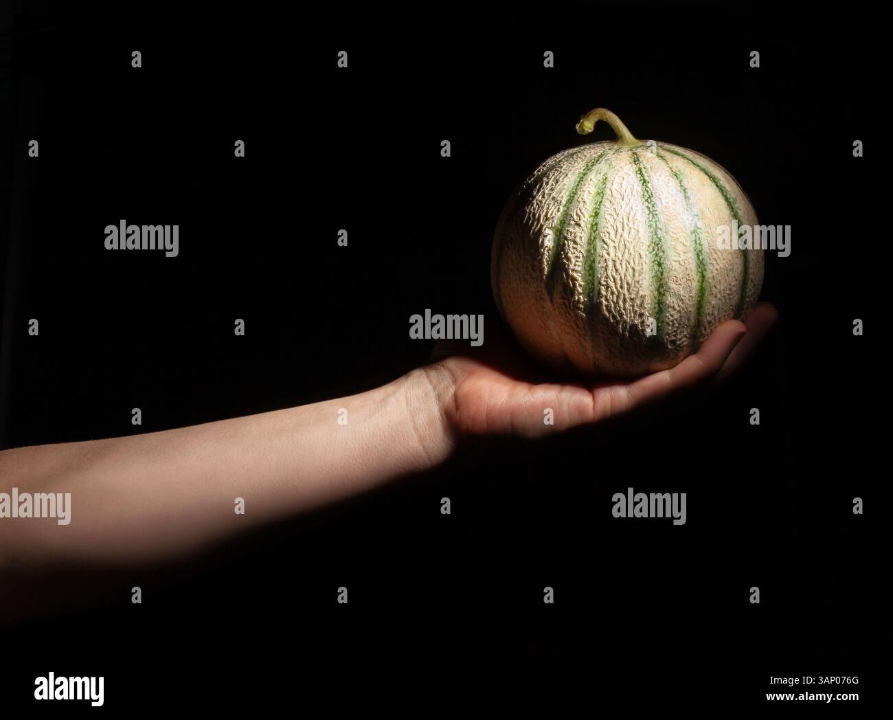 Cantaloupe in der Hand auf schwarzem Hintergrund Stockfoto