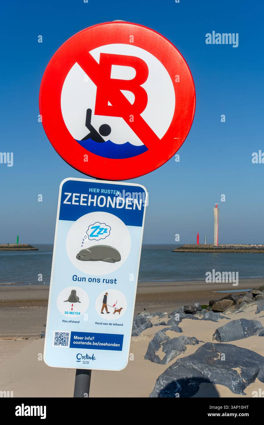 Keine Schwimmzone zwischen Sträuchern und Schild vor dem Strand, das die Wanderer warnt, die ruhenden Robben nicht zu stören, Ostende/Oostende, Westflandern, Belgien Stockfoto