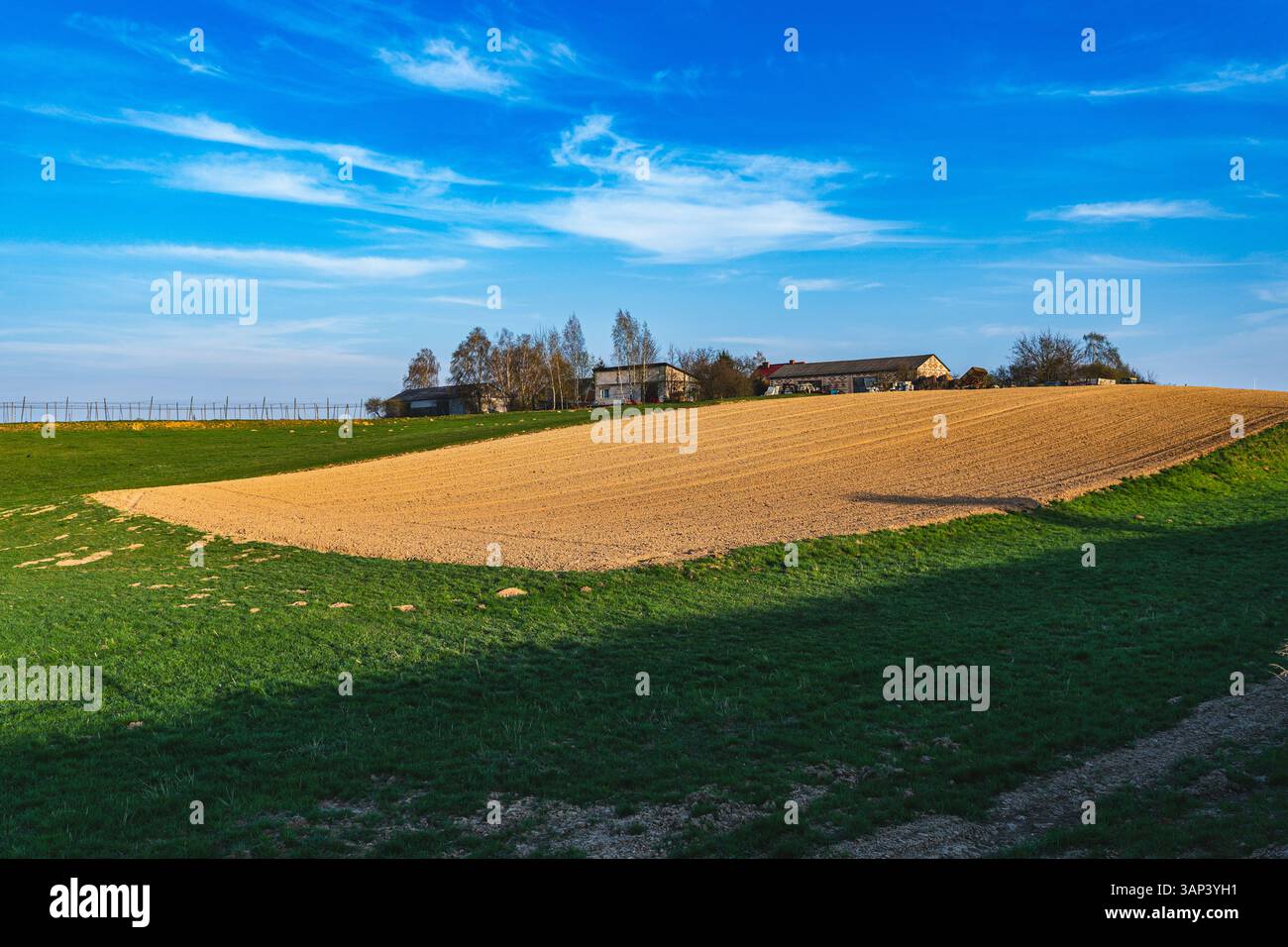 Frühlingslandschaft, in der Sie wachsende Getreidearten und leere Felder sehen können Stockfoto