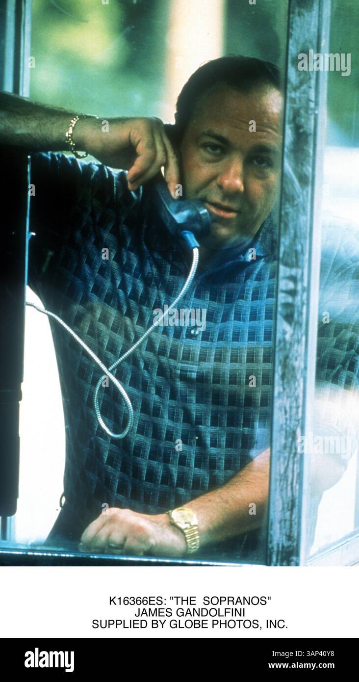 1. JANUAR 2011 - K16366ES: DIE SOPRANOS. JAMES GANDOLFINI. BEREITGESTELLT VON (Credit Image: © Globe Photos/ZUMAPRESS.com) Stockfoto
