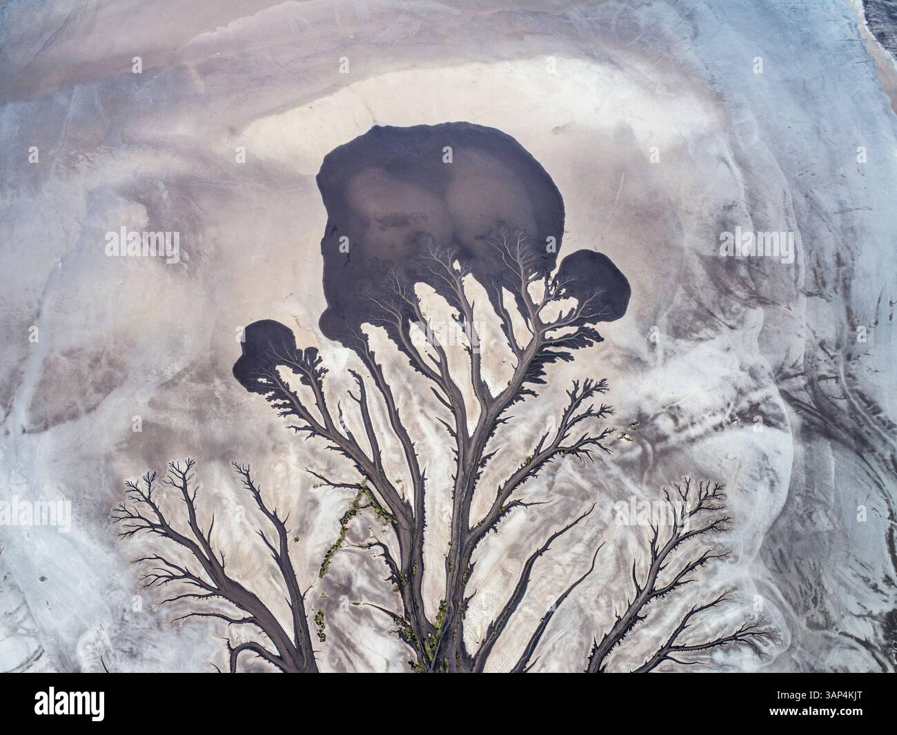 Aus der Vogelperspektive sehen Sie einzigartige baumähnliche Formationen entlang des Ord River, Kimberley, Australien. Stockfoto