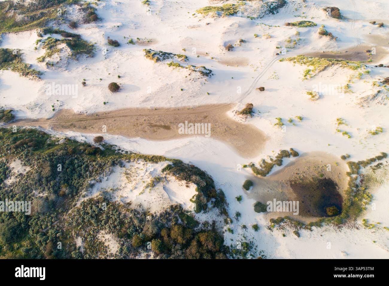 Luftaufnahme der Dünen in der Nähe der Nordsee, Meijendel, Zuid-Holland, Niederlande Stockfoto