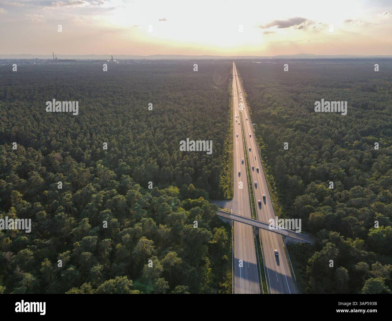 Panoramablick auf die malerische Autobahn, umgeben von üppigen Wäldern und Bäumen bei Sonnenuntergang, Mannheim, Baden Wuttermberg, Deutschland. Stockfoto