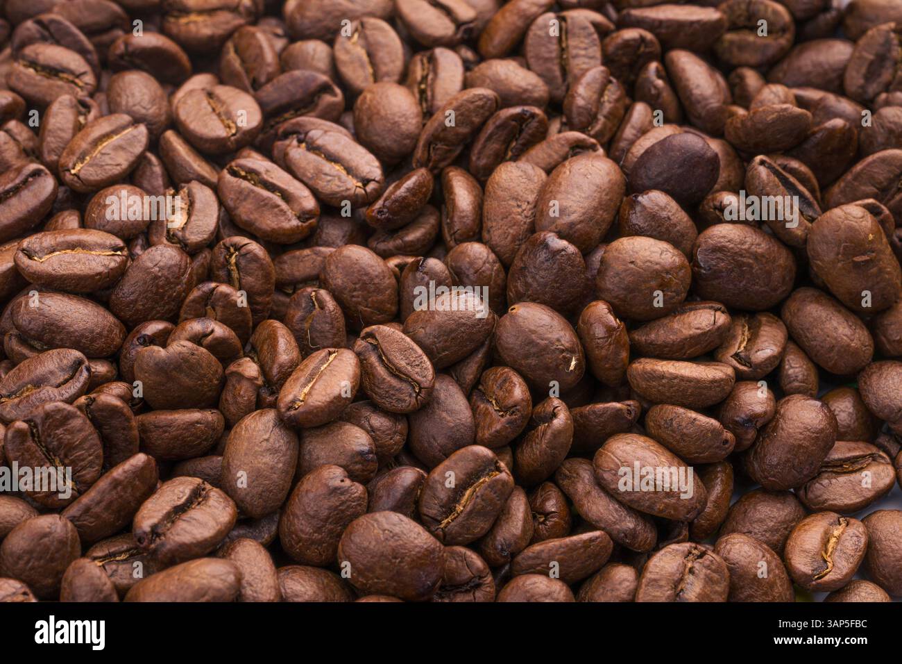 Frisch geröstete Kaffeebohnen in einem Sack Stockfoto