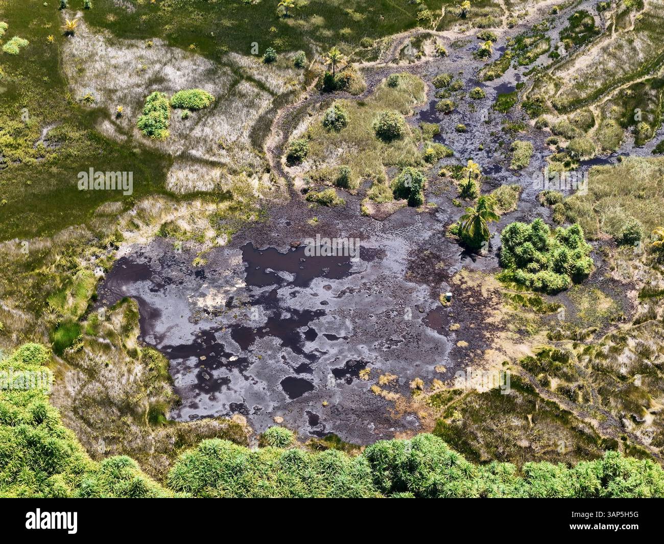Aus der Vogelperspektive auf den ruhigen Naturpark mit üppigen Palmen und einem ruhigen See, umgeben von Schlamm und Gras, Fuvahmulah, Malediven. Stockfoto