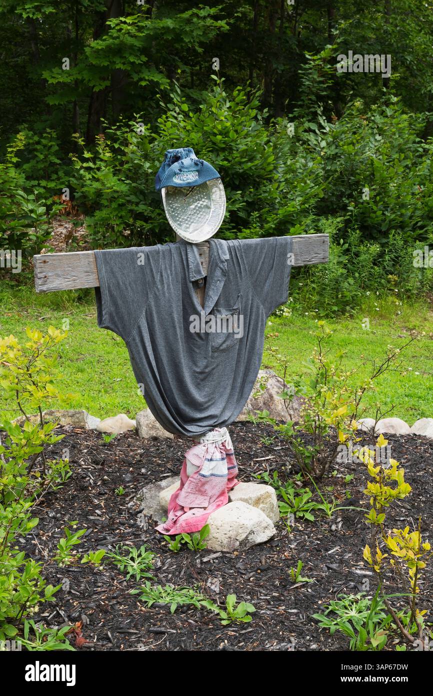 Sarecrow mit einem grauen T-Shirt in Felsenrand mit verschiedenen Stauden im Garten im Garten im Sommer. Stockfoto