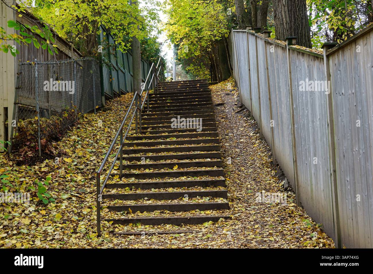 Alte Treppe bedeckt mit heruntergefallenen Blättern Stockfoto