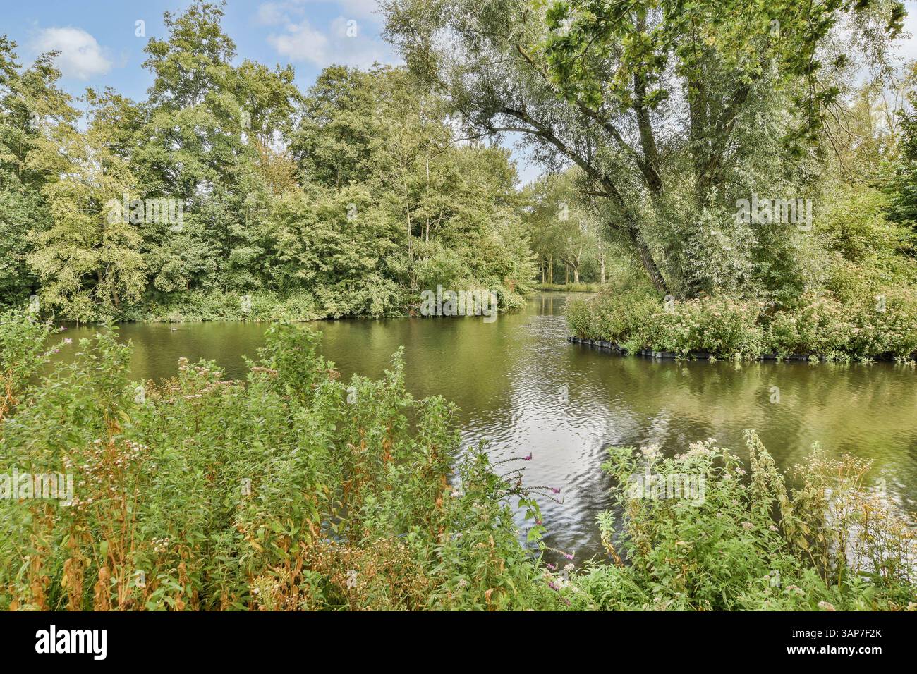 Ein ruhiger Fluss fließt durch eine lebendige Landschaft voller grüner Bäume und üppiger Pflanzen, die eine ruhige natürliche Umgebung schaffen, die perfekt zum Entspannen ist. Stockfoto