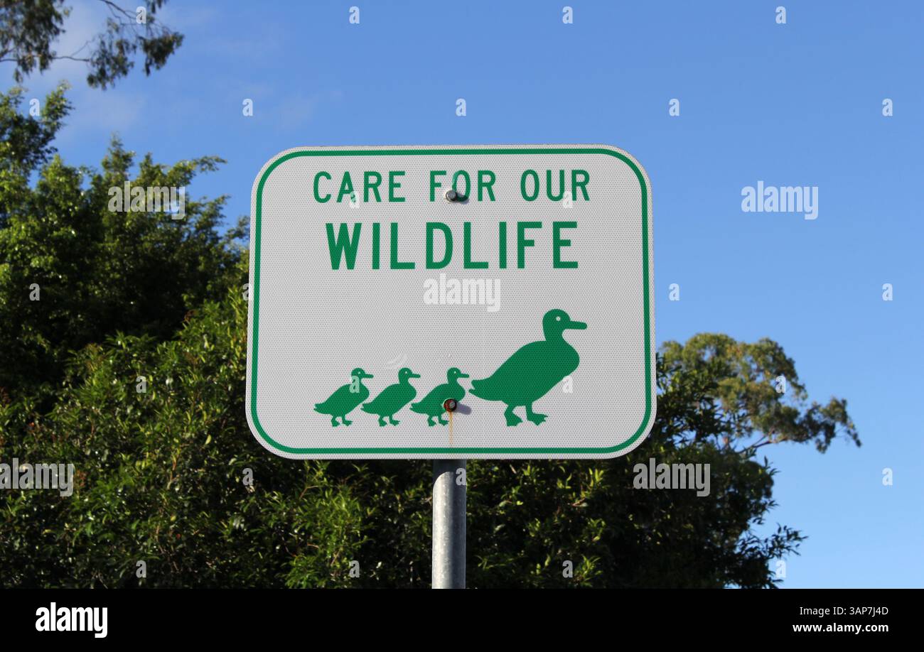 Schild mit der Aufschrift „Care for Our Wildlife“ mit Bildern von Enten mit Bäumen und dem Himmel im Hintergrund Stockfoto