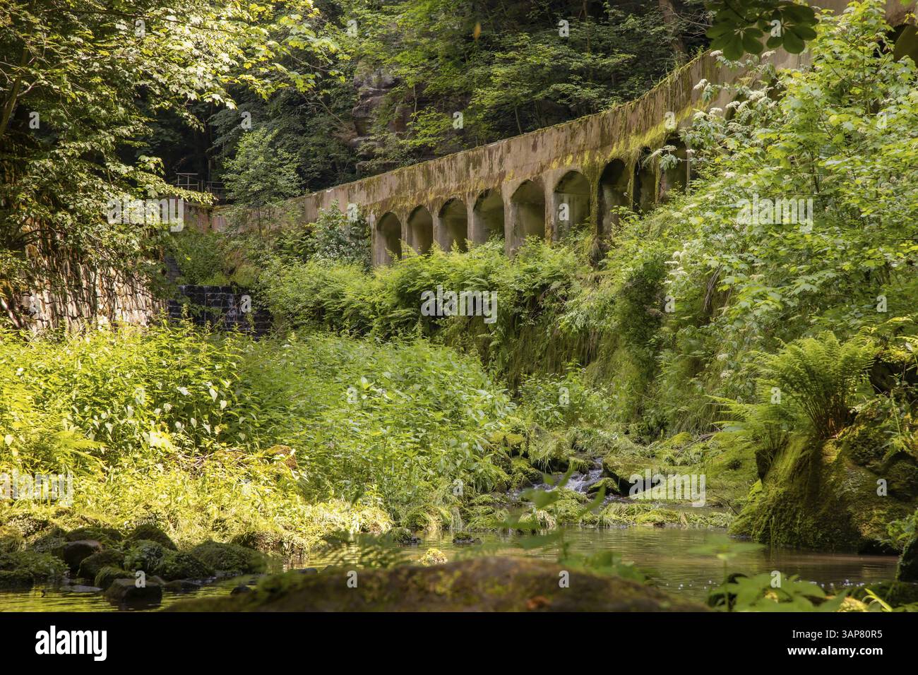 Altes Wasserkraftwerk Niezelgrund Wasserfall Lohmenschlucht Stockfoto