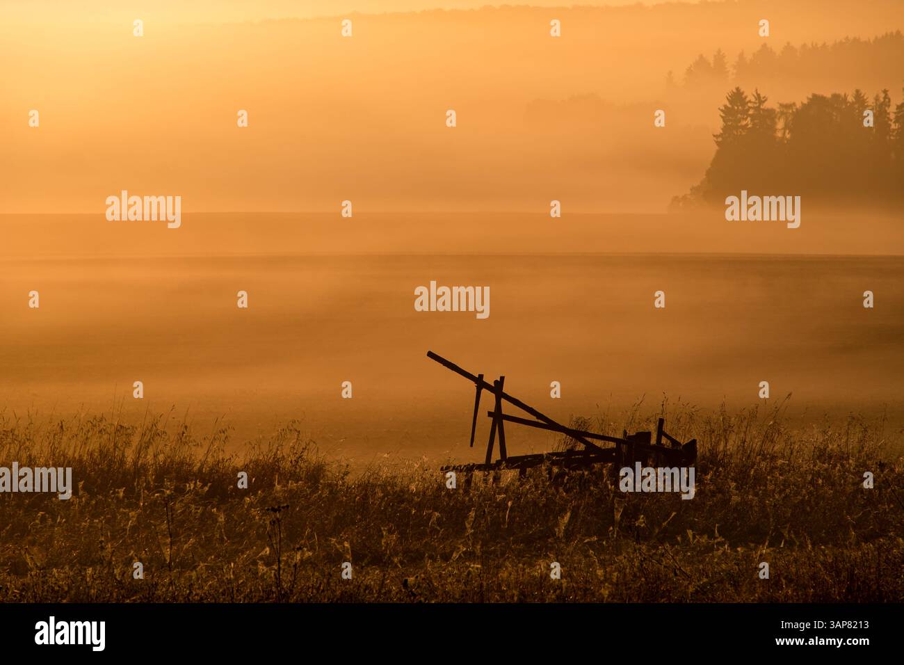 Landschaft mit umgestürzten Hochsitz mit abendlicher Sonnenuntergangsstimmung und Nebel Stockfoto