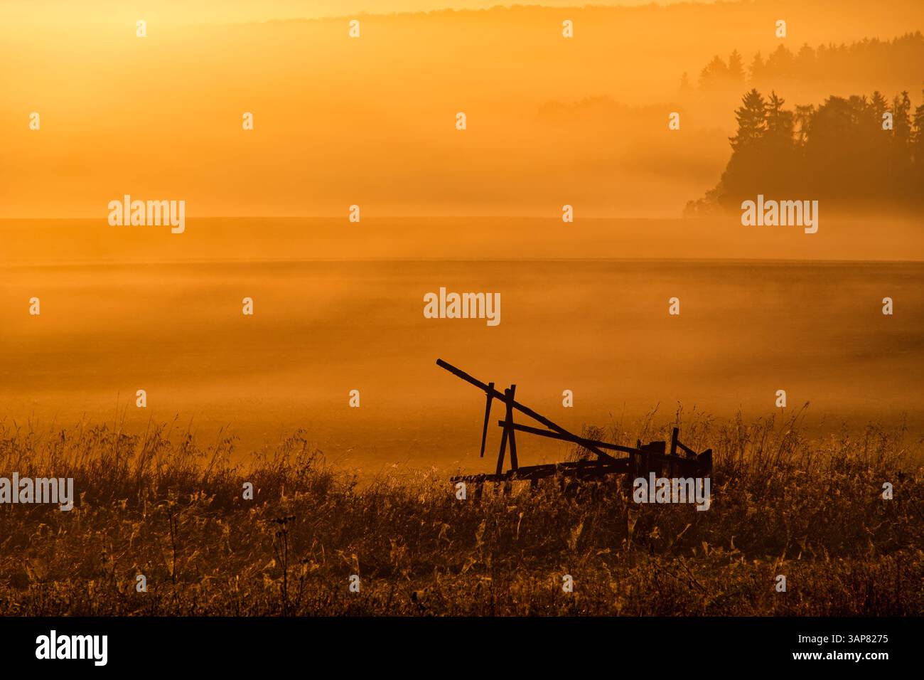 Landschaft mit umgestürzten Hochsitz mit abendlicher Sonnenuntergangsstimmung und Nebel Stockfoto
