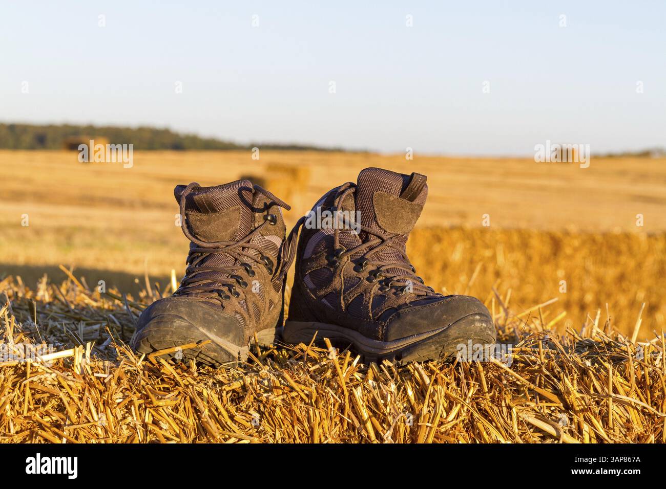 Wanderschuhe in der Abendsonne auf einem Feld Stockfoto