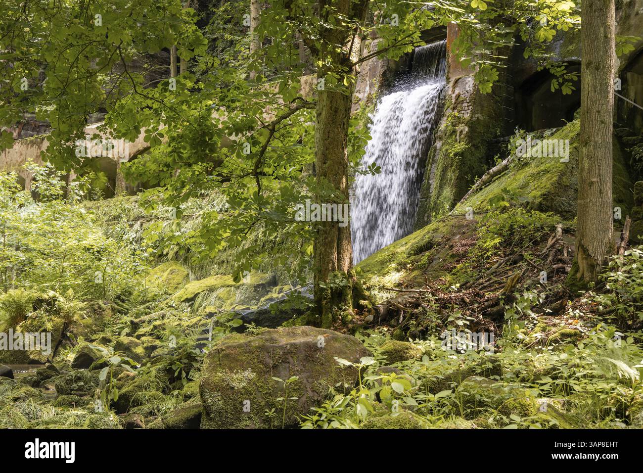 Altes Wasserkraftwerk Niezelgrund Wasserfall Lohmenschlucht Stockfoto