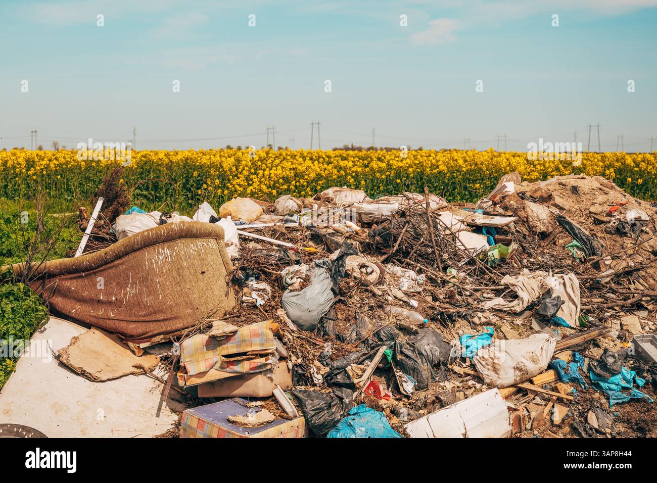 Illegale Dumping auf Rapsanbau, selektiver Fokus Stockfoto