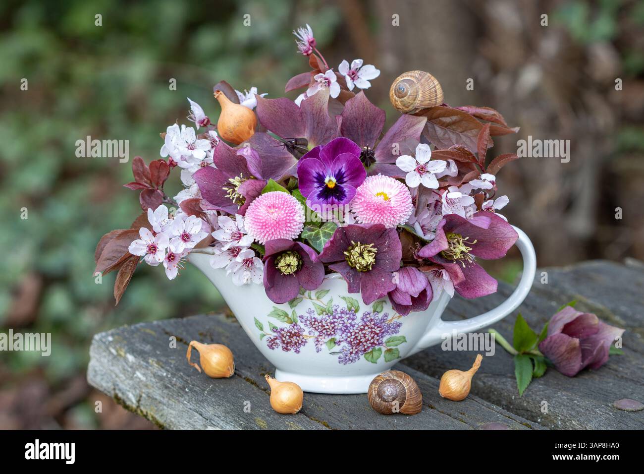 Blumenarrangement mit rosa Bratschenblüten, fastenrosen, bellis perennis und lila Pflaumenblüten in einem Vintage-Soßenboot Stockfoto