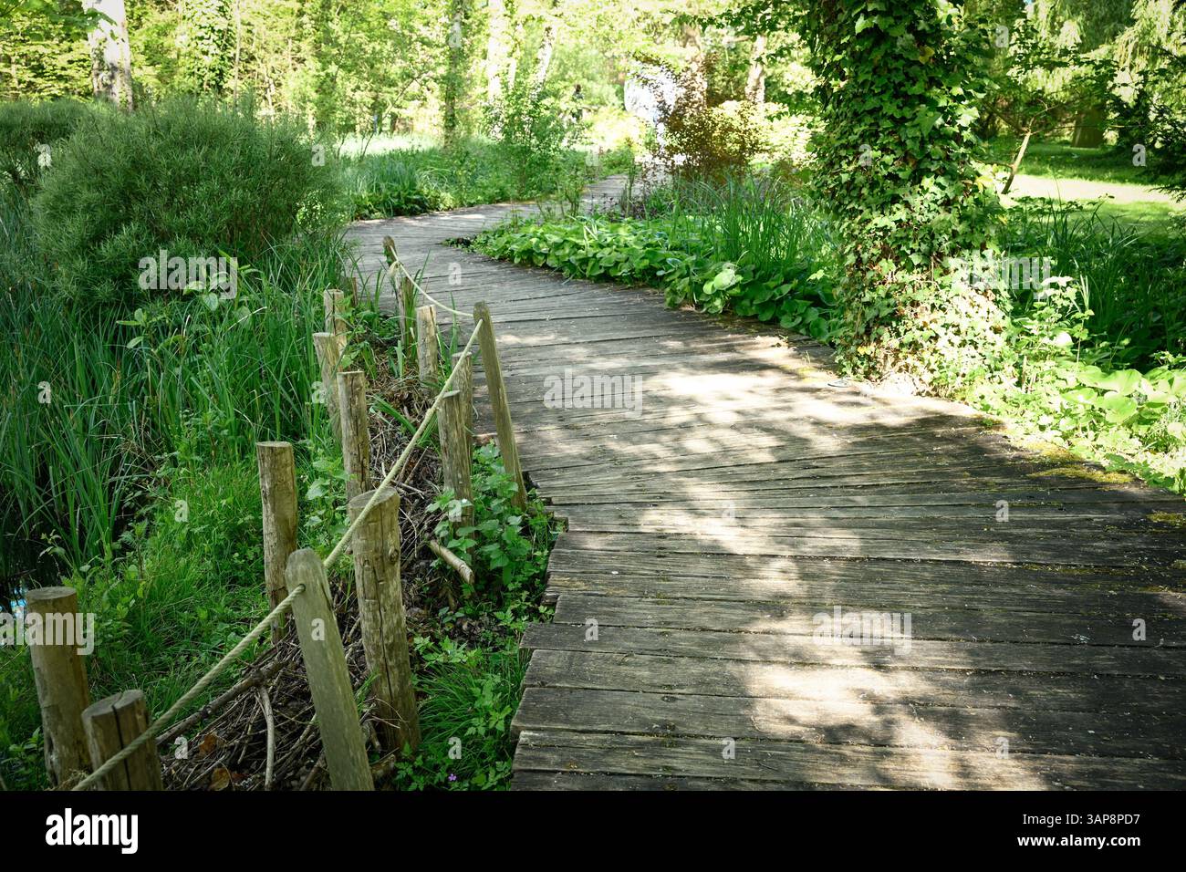 Pfad auf Holzlatten, durchqueren Sie den Leonardo da Vinci Park, am Schloss Clos Luce und eine trockene Hecke aus toten Ästen Stockfoto
