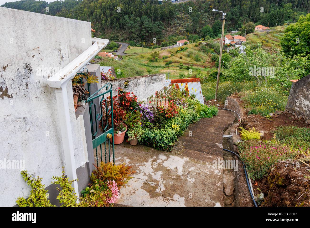 Treppen in der Bergstadt Camacha in der Gemeinde Santa Cruz auf Madeira, Portugal Stockfoto