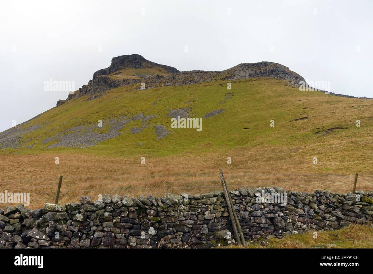 Pen-y-ghent vom Yorkshire 3 Peaks Path aus Horton in Ribblesdale, Yorkshire Dales National Park. England, Großbritannien Stockfoto