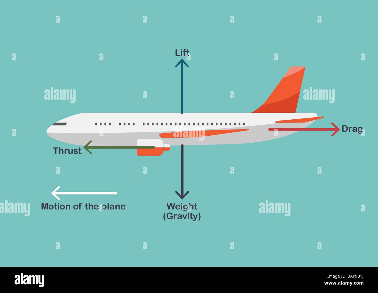 Abbildung der vier Hauptkräfte, denen ein Flugzeug ausgesetzt ist. Die Kräfte beeinflussen die Flugfähigkeit von Flugzeugen und Vögeln. Vektorabbildung Stock Vektor