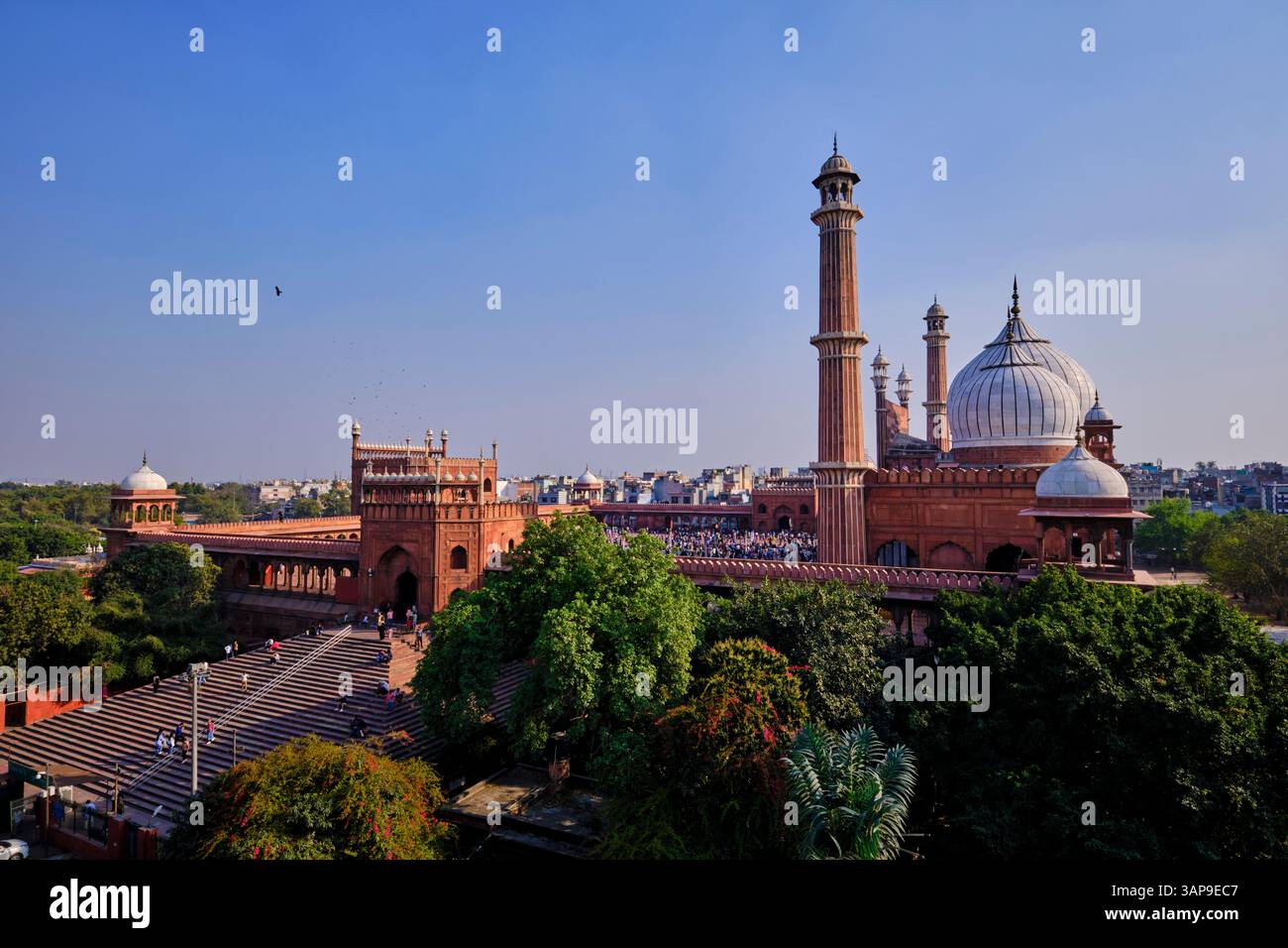 Indien, Delhi, Alt-Delhi, Jama-Masjid-Moschee, erbaut vom Mogulkaiser Shah Jahan zwischen 1644 und 1656 Stockfoto