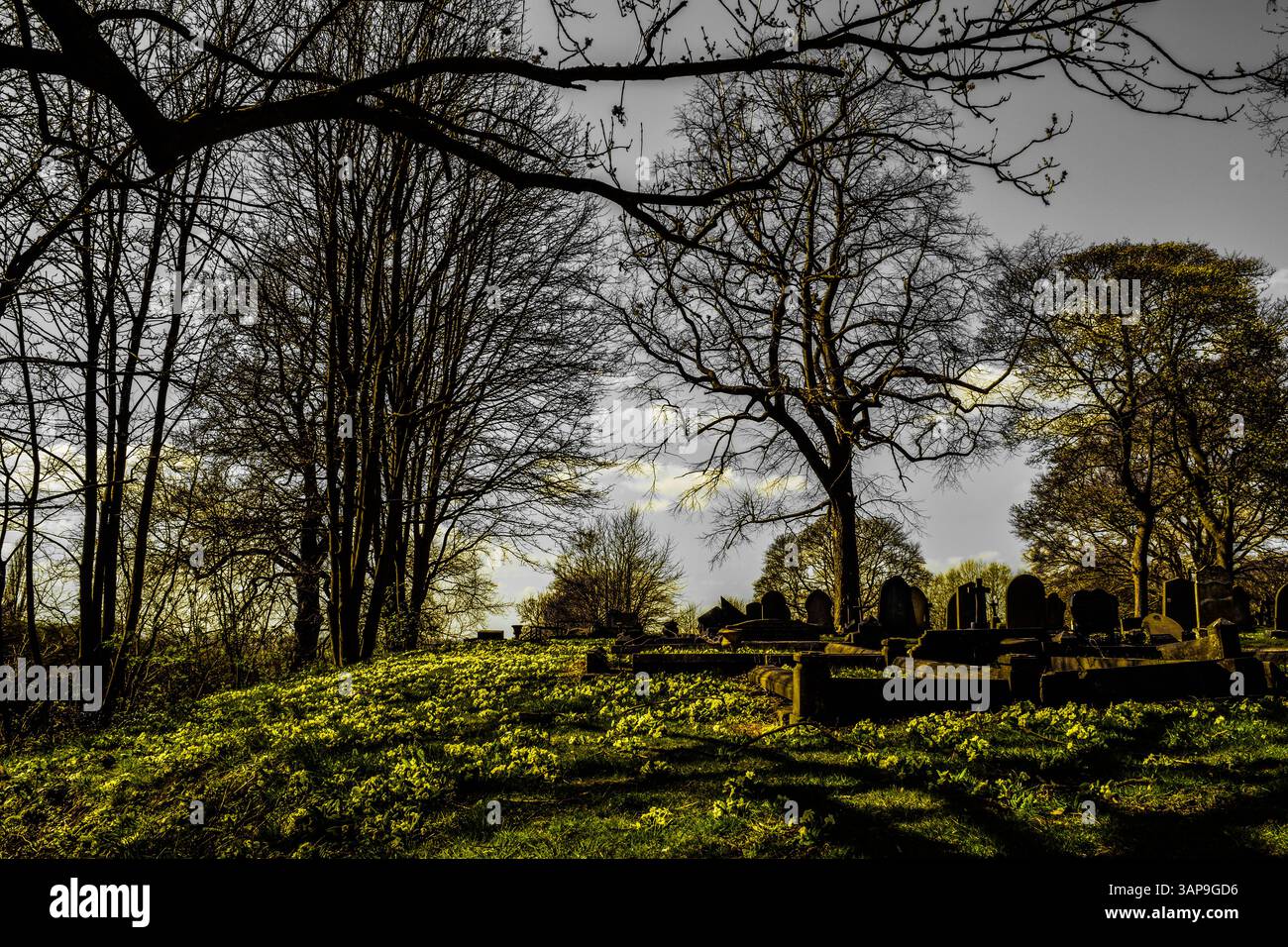 Gainsborough Town Cemetery, Lincolnshire, großbritannien Stockfoto