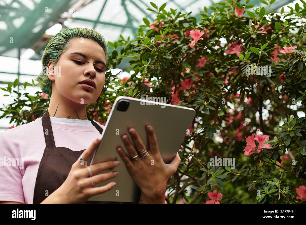 Eine junge Frau mit grünen Haaren konzentriert sich auf ihre Tablette in einem bunten Gewächshaus voller Blumen. Stockfoto