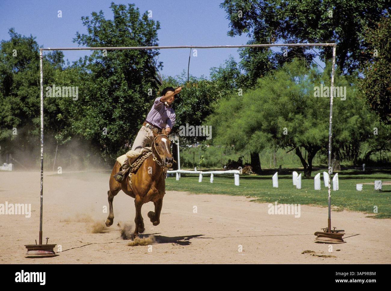 Argentinien, San Antonio de Areco, das „fiesta de tradicion“ ist ein Gaucho-Festival mit Paraden, Ringjousting (sortija) und Rodeo (jineteada). Stockfoto