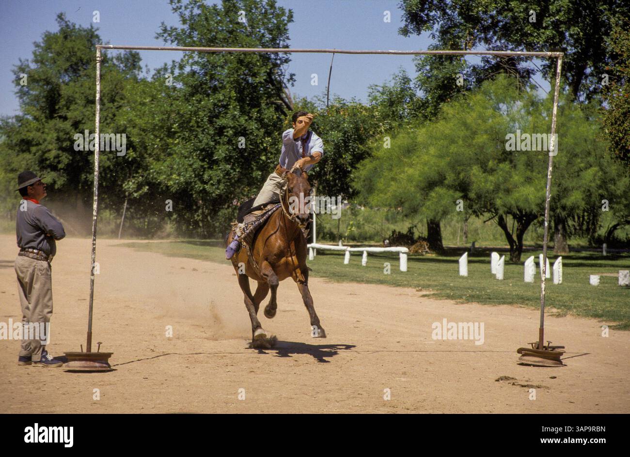 Argentinien, San Antonio de Areco, das „fiesta de tradicion“ ist ein Gaucho-Festival mit Paraden, Ringjousting (sortija) und Rodeo (jineteada). Stockfoto