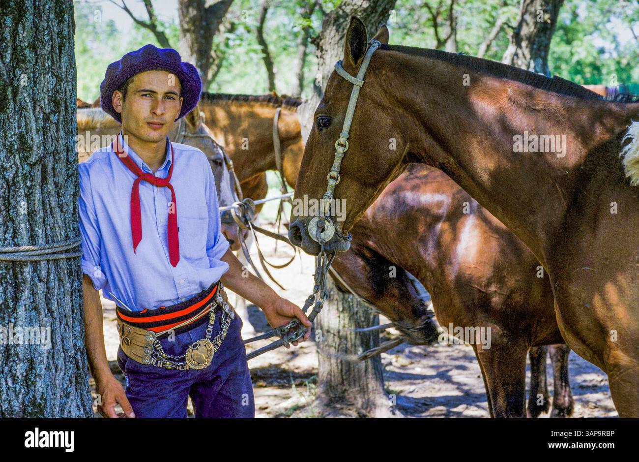 Argentinien, San Antonio de Areco, das „fiesta de tradicion“ ist ein Gaucho-Festival mit Paraden, Ringjousting (sortija) und Rodeo (jineteada). Stockfoto