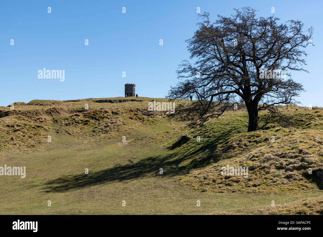Grinlow und Solomon's Temple oberhalb von Buxton, Derbyshire, England. Stockfoto