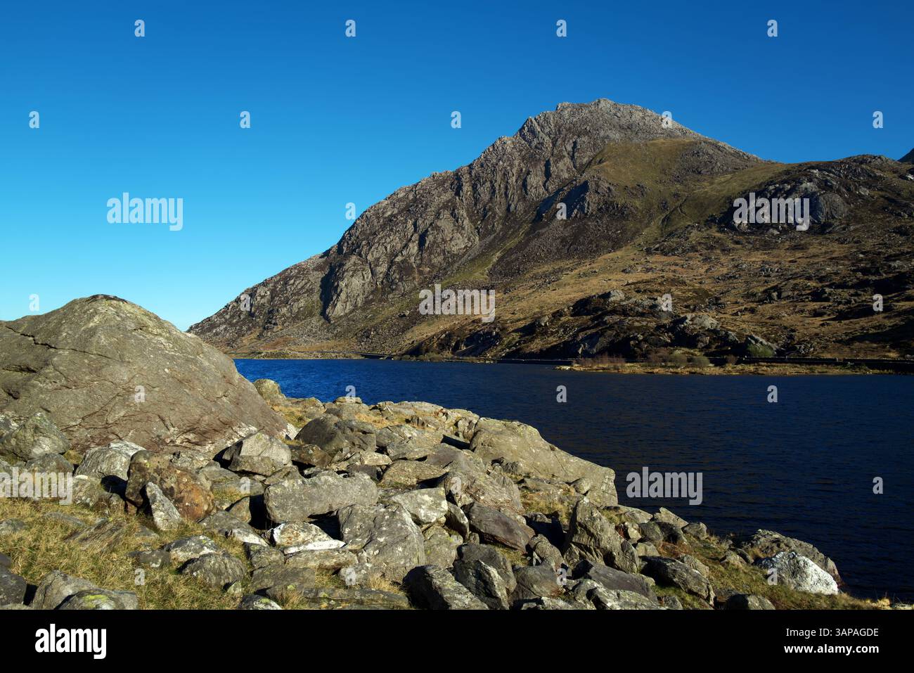 Tryfan ist ein Berg in der Glyderau Mountain Range im Snowdonia National Park in Wales. Sie ist hier neben dem Lake Ogwen zu sehen. Stockfoto
