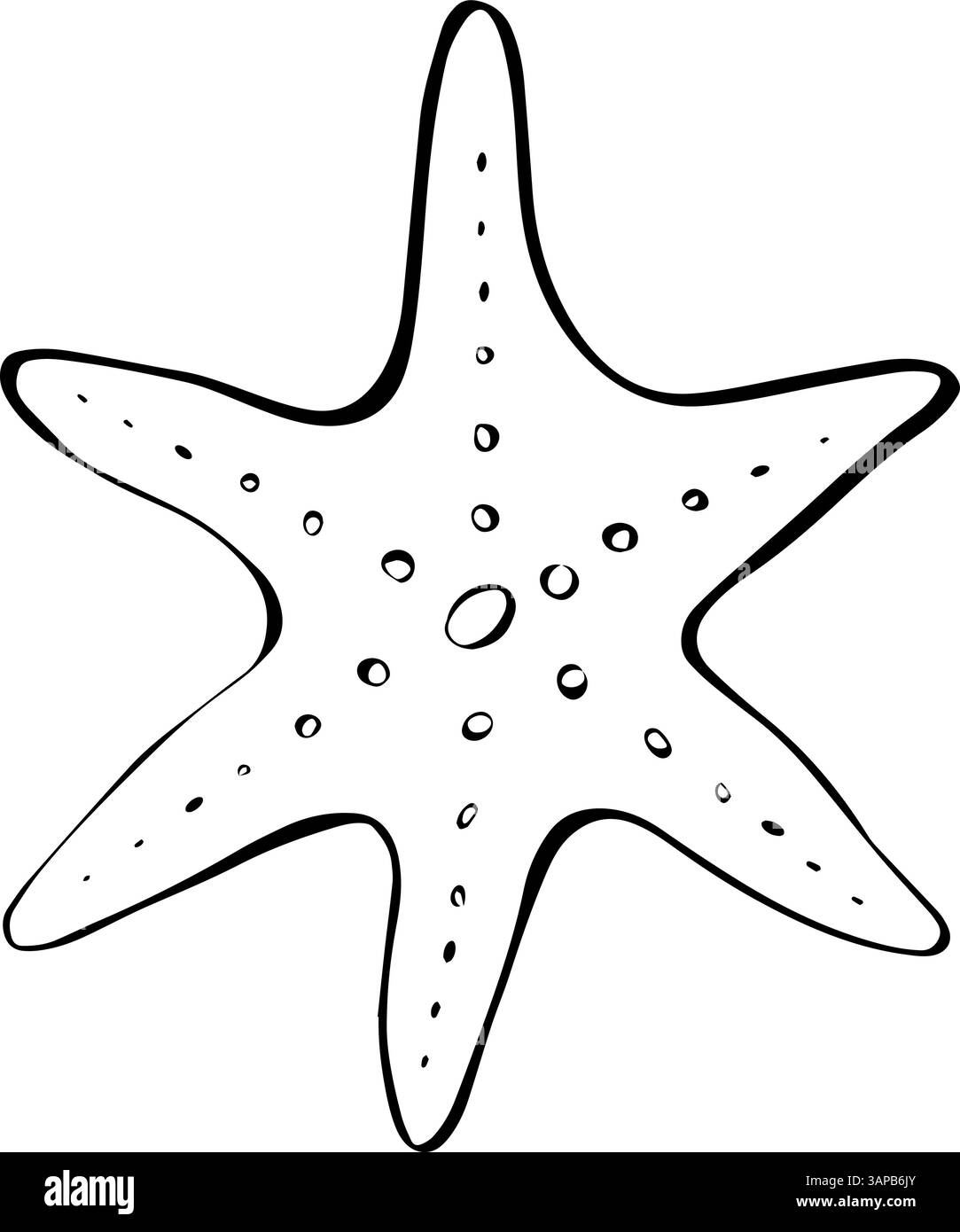 Grafische Strichgrafik-Illustration des Seesterne-Vektors. Isoliert auf weißem Hintergrund. Symbol für Paket, Küchendesign, Stoff und Textil. Stock Vektor