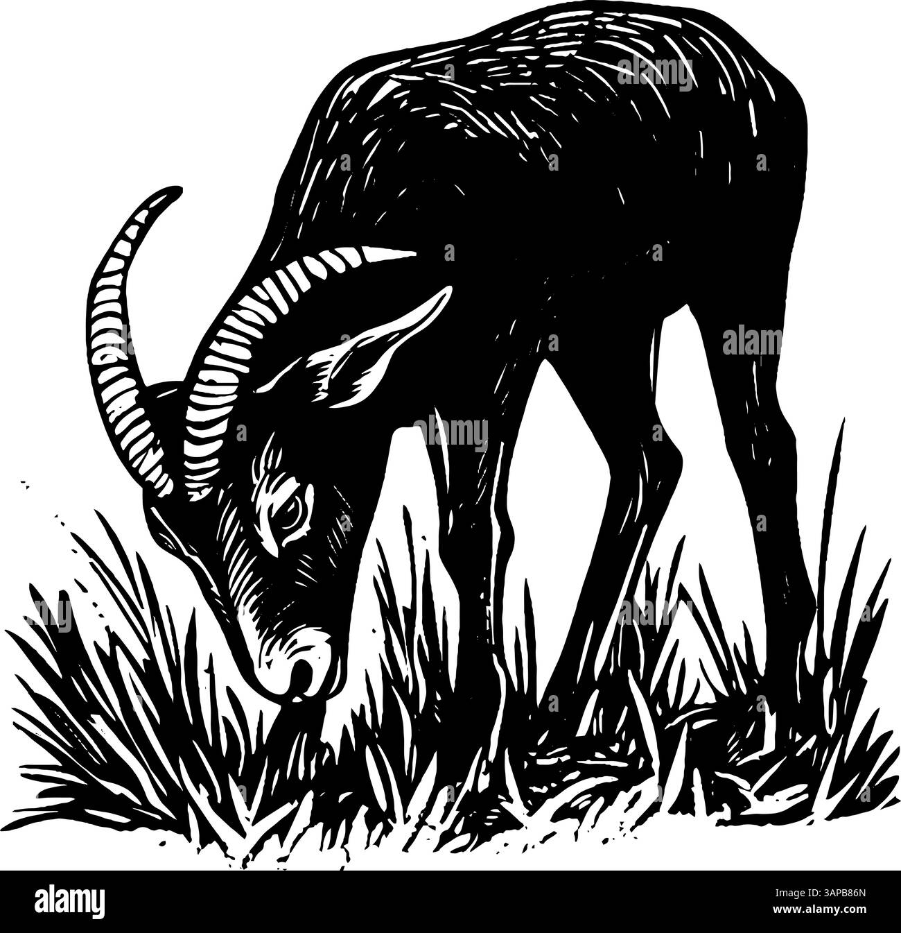 Eine Ziege tritt einen Fußball energisch, während sie auf dem Gras steht. Die Vintage-Holzschnitt-Illustration fängt den verspielten Geist des Tieres ein Stock Vektor