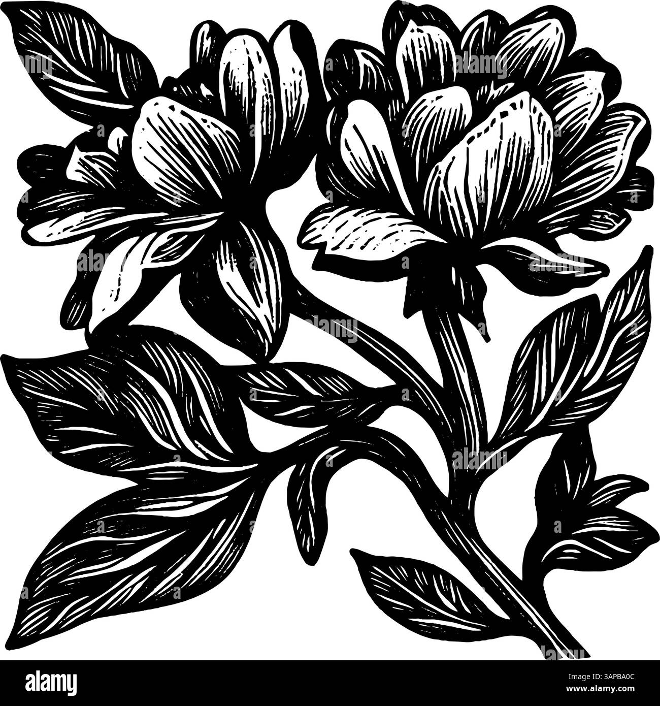 Dieses Kunstwerk zeigt ein Vintage-Holzschnitt-Design mit einer wunderschönen Blume, umgeben von detaillierten Blättern Stock Vektor