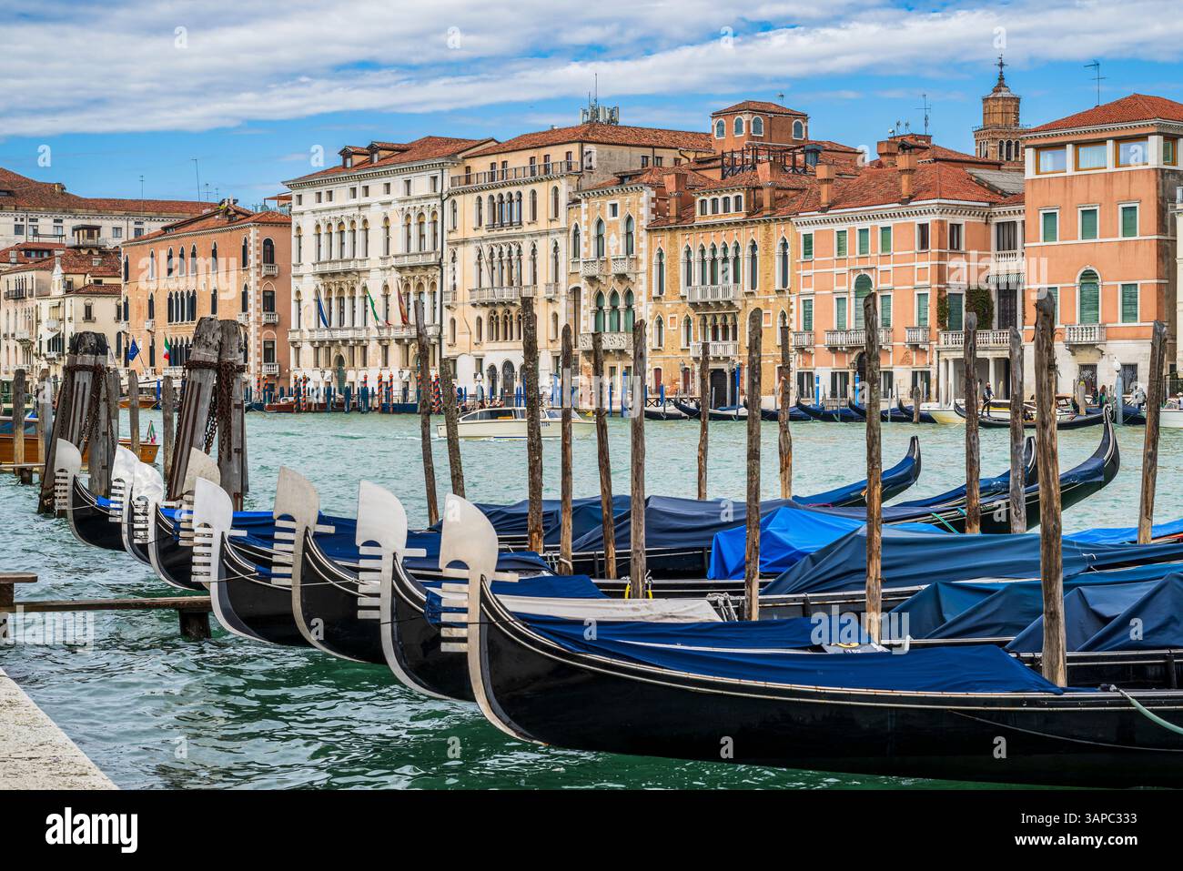 Angedockte Gondelruderboote im Canale Grande, Venedig, Venetien, Italien Stockfoto